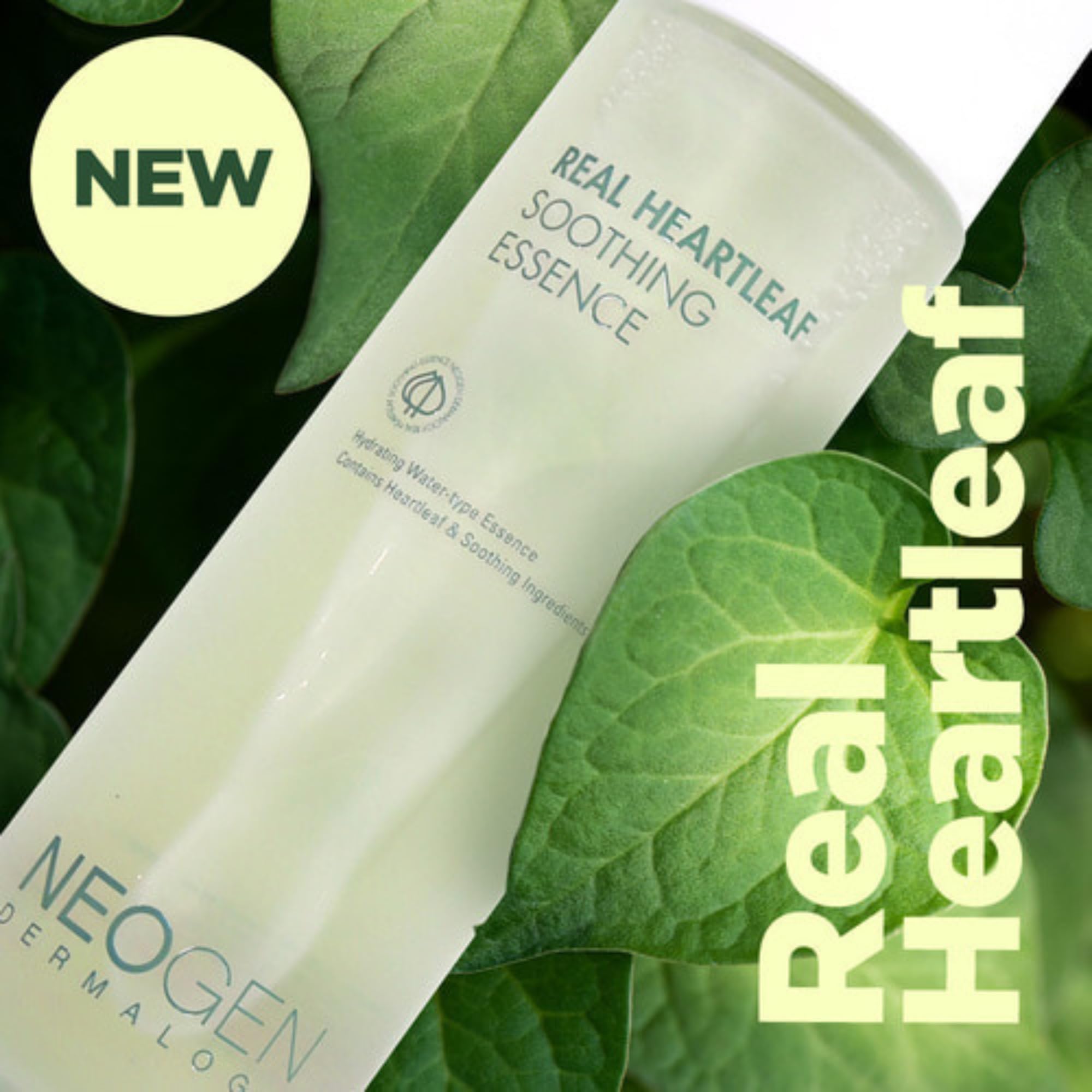 Neogen DERMALOGY Real HEARTLEAF Soothing Essence 150ml / 5.07 Fl.oz