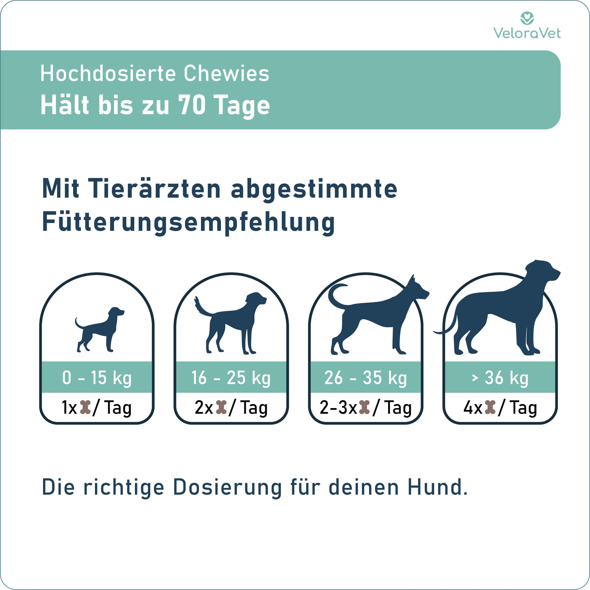 Gelenk & Fell Kombi für Hunde – Gelenktabletten + Omega 3 Snacks