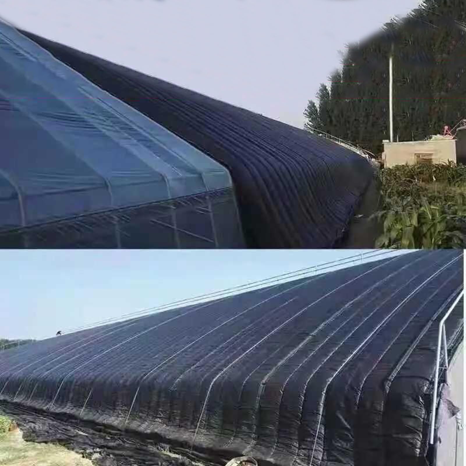 Manta aislante para plantas para protección de invernadero y túnel de cultivo