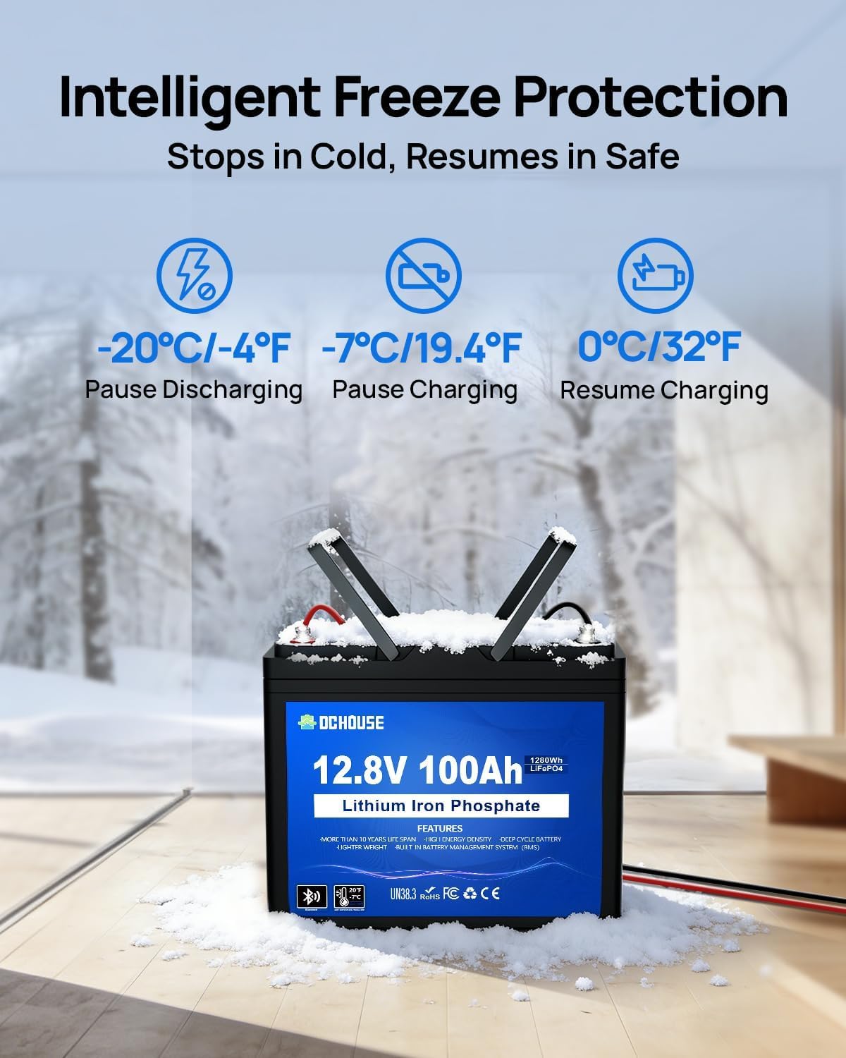 DCHOUSE Batteria LiFePO4 12V 100Ah con Bluetooth e Caricabatterie 10A, BMS 100A, Protezione da Bassa Temperatura, fino a 15000 Cicli, per Camper, Campeggio e Sistemi Solari