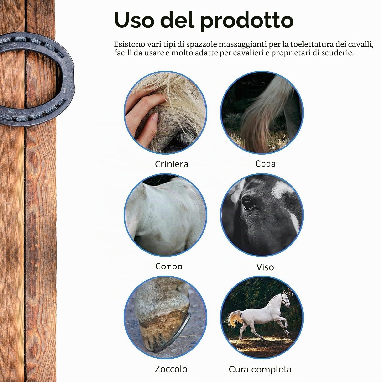 10 Pezzi Kit Per Tolettatura del Cavallo, Set di Forniture Per Tack Room Set di Spazzole Per Cavalli Forniture Per Il Bagno del Cavallo Per Cavalieri Principianti