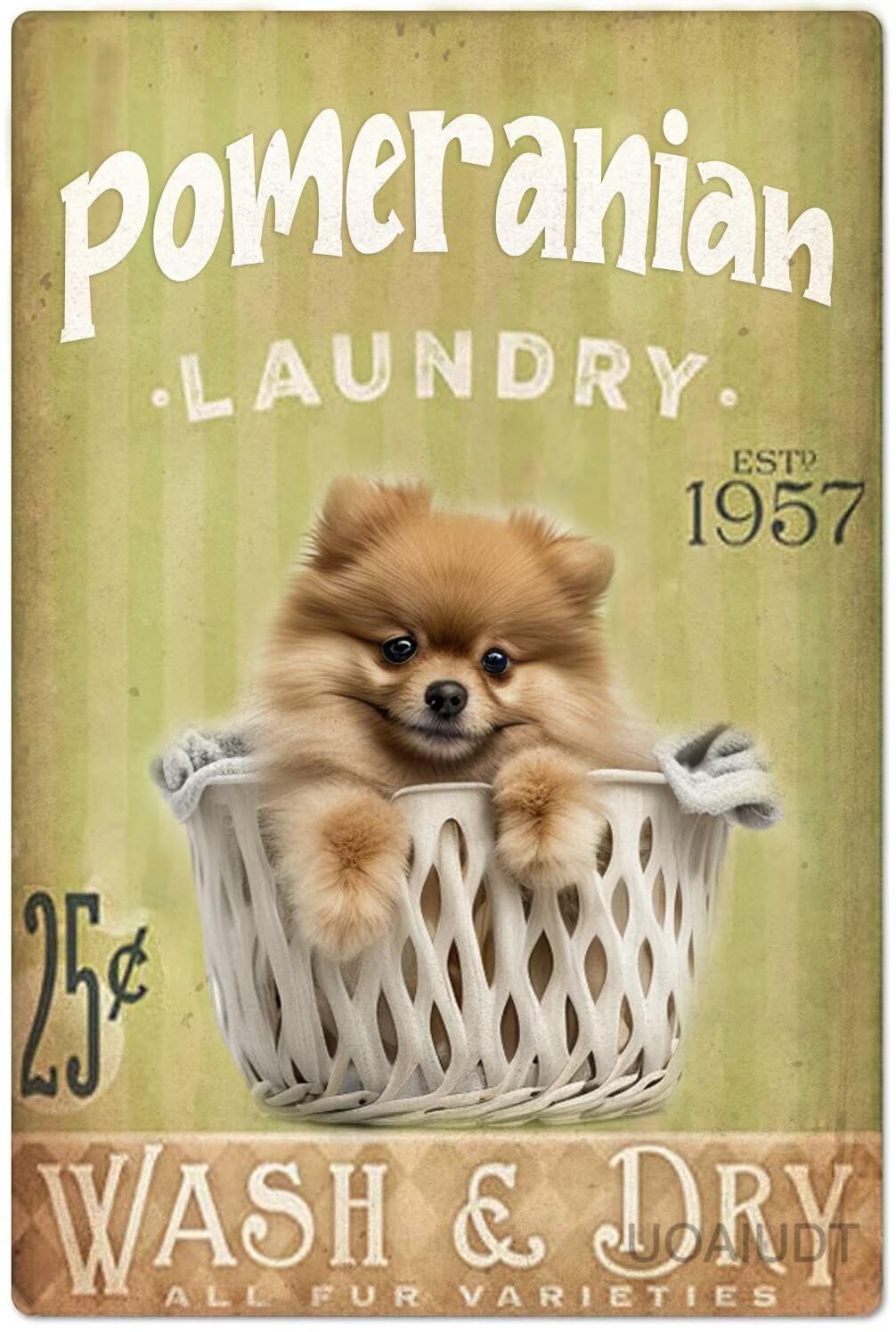 Anceky Pomeranian Vintage Metal Plaque Laundry Room Poster Dog Decor Metal Tin Sign Plaque Dog s Retro Wall Decor For Restaurant Theater Farm Bedroom Cafe 8x12 Inch