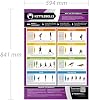 Kettlebells | Legs, Back & Shoulder Workout | Laminated Home & Gym Poster | FREE Online Video Training Support | Size - 841mm x 594mm (A1) | Improves Personal Fitness