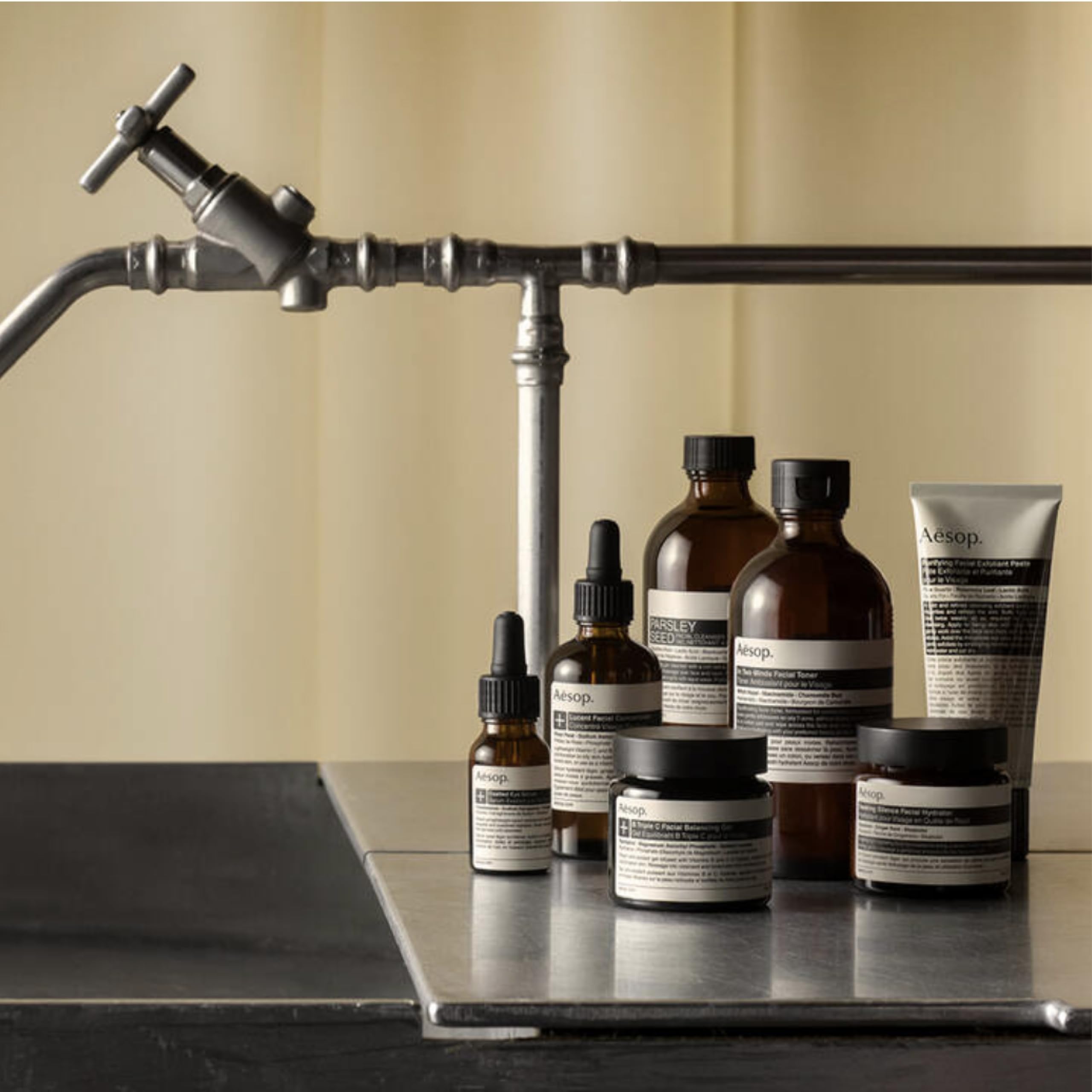 Amazon | イソップ Aesop パセリシード フェイシャル クレンザー 45