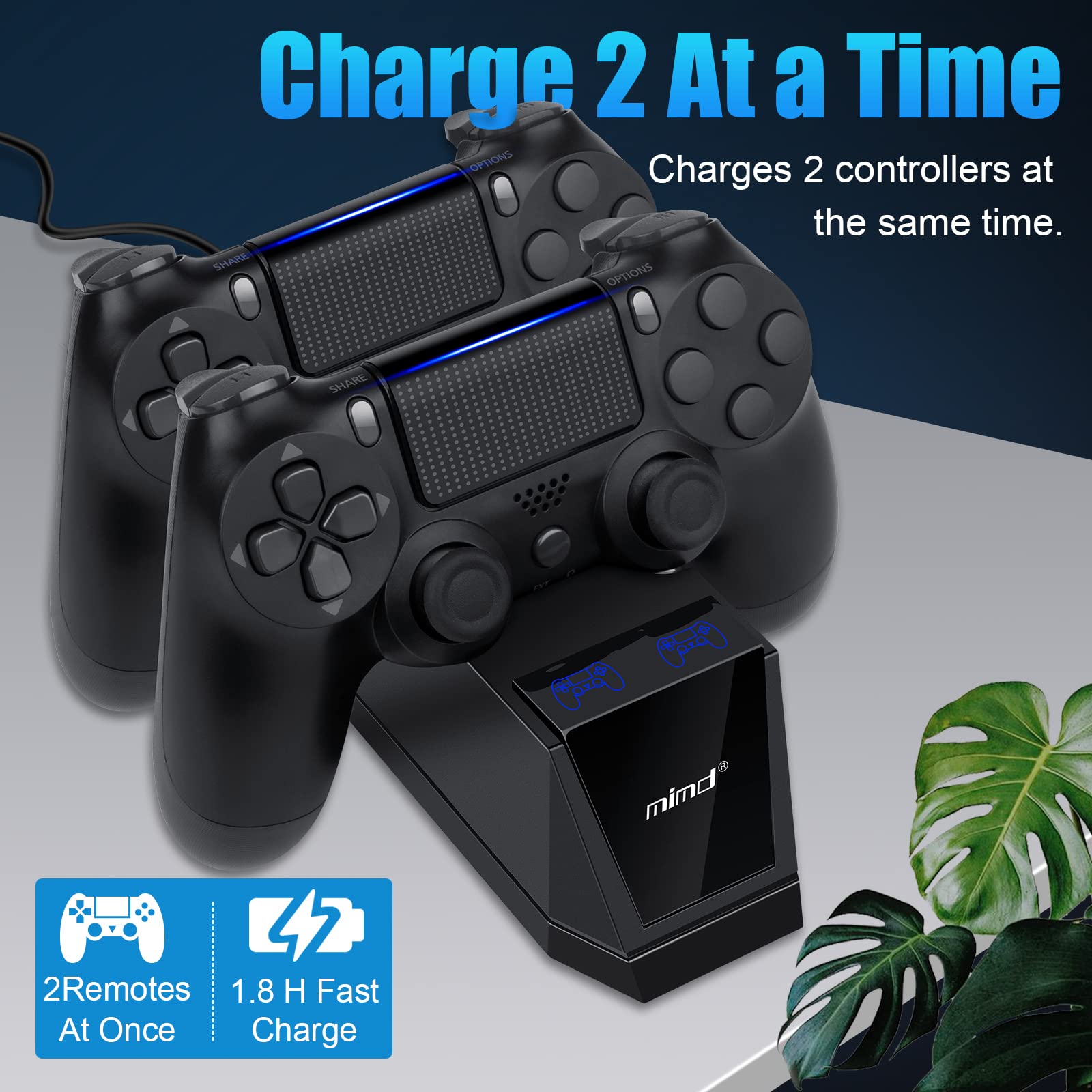 ARyee Stazione di ricarica controller PS4, caricatore per controller PS4, doppia stazione di ricarica con cavo di ricarica USB per Playstation4/PS4/PS4 Slim/PS4 Pro, ricarica rapida 1,8H