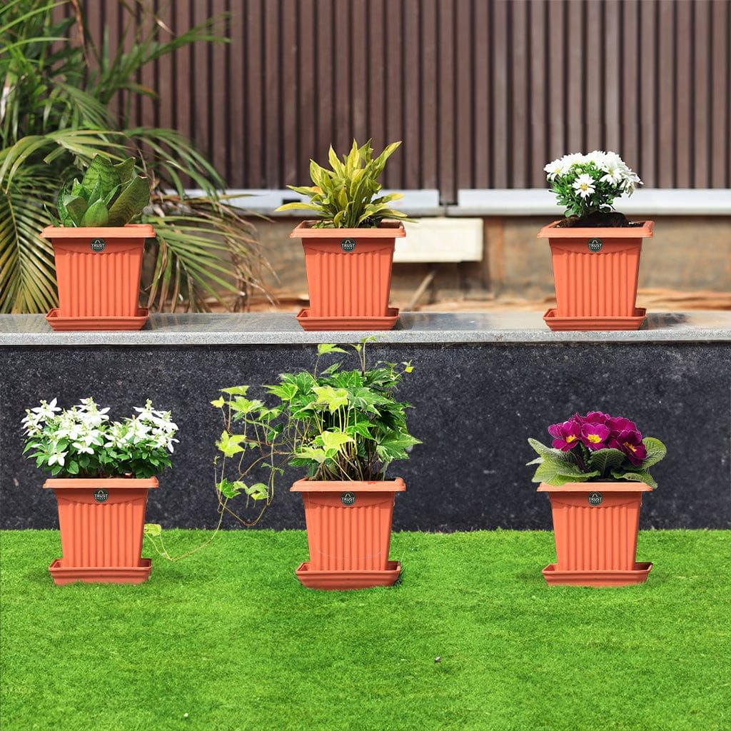 TrustBasket 6 inch Square Plastic Planter with Saucer - Set of 3 - Image 4 thumbnail