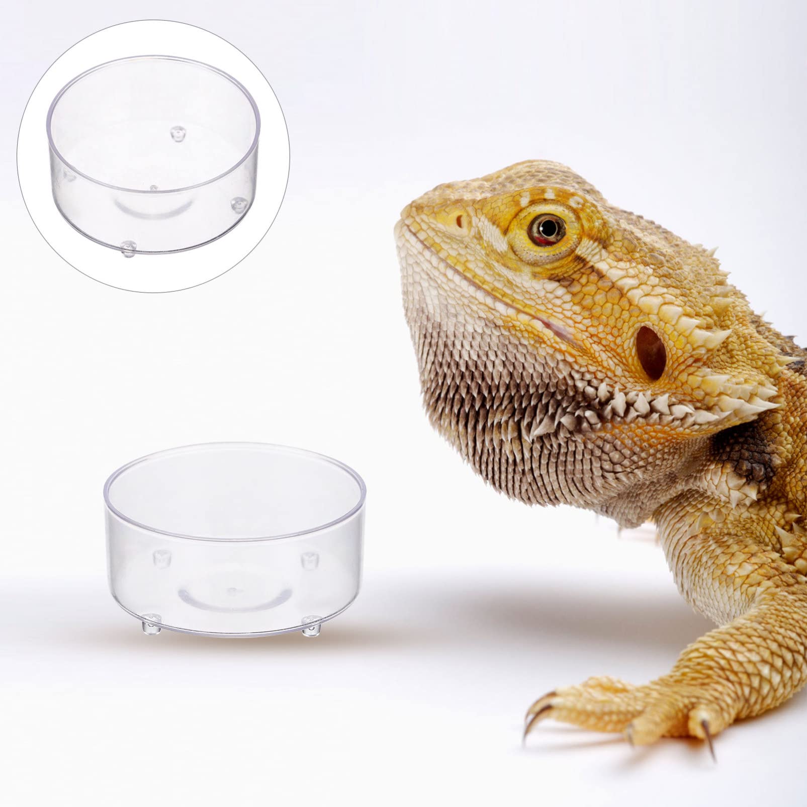 150 Piezas Bebedero para Mascotas Plato de Agua de Tortuga reptiloil Animal Vaso multifunción para Comida de Reptiles Plato de Agua de Reptil Mini Bandeja de Agua Caja de Reptiles
