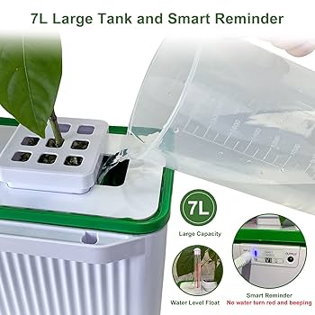 ※まみむー※DAC Plant Delivery まみむー※DAC Plant Delivery まみむー※DAC Plant Delivery