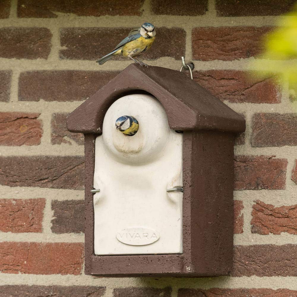 CJ Wildlife Nistkasten – Vogelnistkasten für Meisen mit Marderschutz – Woodstone Holzbeton Braun – Einflugöffnung 28 mm – Langlebig, wetterfest für draußen