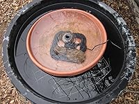 Review Image by Anon Anon