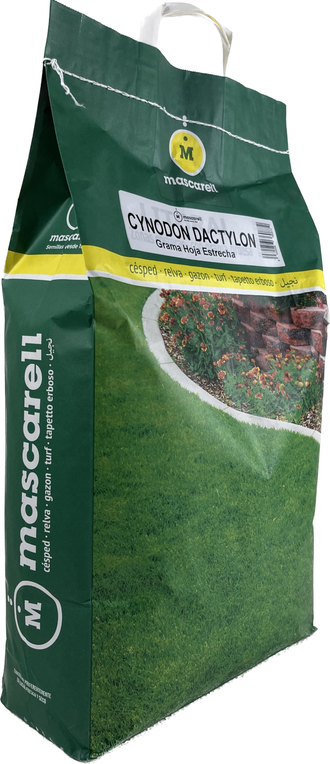 Mascarell Semillas, CYNODON DACTYLON, Semillas de Césped, Verde y Duradero, Compacto y Resistente, 5 KG