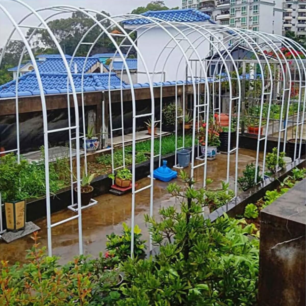 Ampio Arco da Giardino in Acciaio - pergola Metallica da Esterno Adatta a Piante rampicanti, Disponibile in Altezze di 2,8 m, 3 m e 3,5 m, con piedistallo, Ideale per Creare Il Perfetto Arco