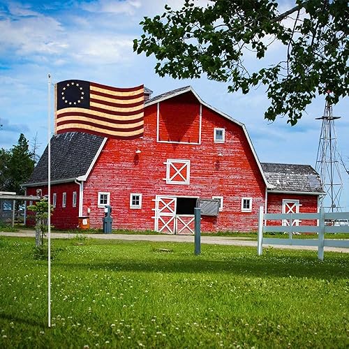 Miniatura 7 de Founding Fathers Flags - Mástil de bandera blanca de 10 pies y punta - Perfecto para cualquier uso al aire libre