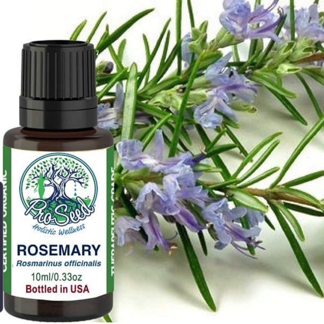 ProSeed Organic Rosemary Essential Oil | Steam Distilled from Rosmenirus officinalis | 10ml