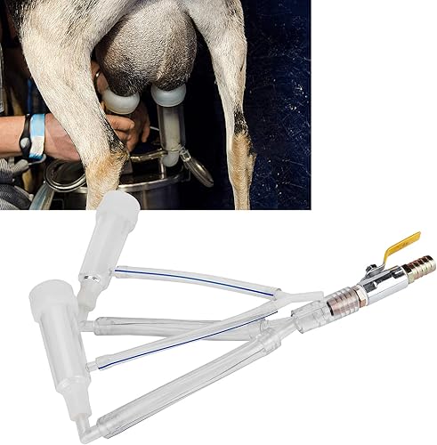 Miniatura 3 de Fdit Copas de tetina de ordeño Piezas de repuesto Juego de tazas de leche de cabra de leche Grupo de ordeño Accesorios para máquinas de ordeño