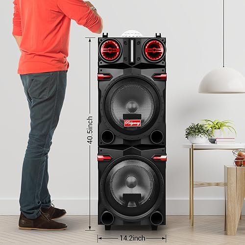Miniatura 6 de Altavoz inalámbrico de 10 pulgadas x 2, altavoz portátil Bluetooth Hi-Fi con sistema PA recargable, máquina de karaoke de potencia máxima con