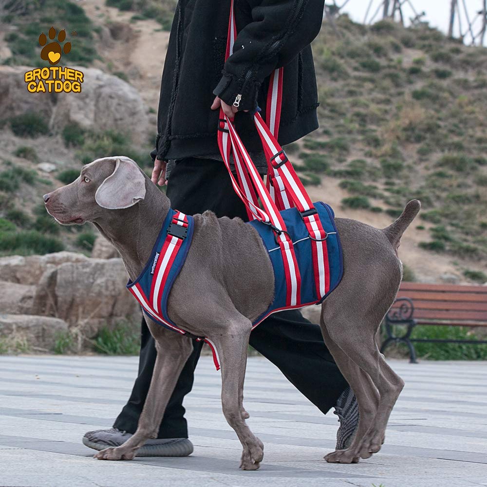XTrador Dog Harness Carrying Aid for Dogs Especially for Hip Problems Carrying Strap for Injured Older or Restrictive Dogs Rehabilitation Safety Walking Aid (M) - Image 4
