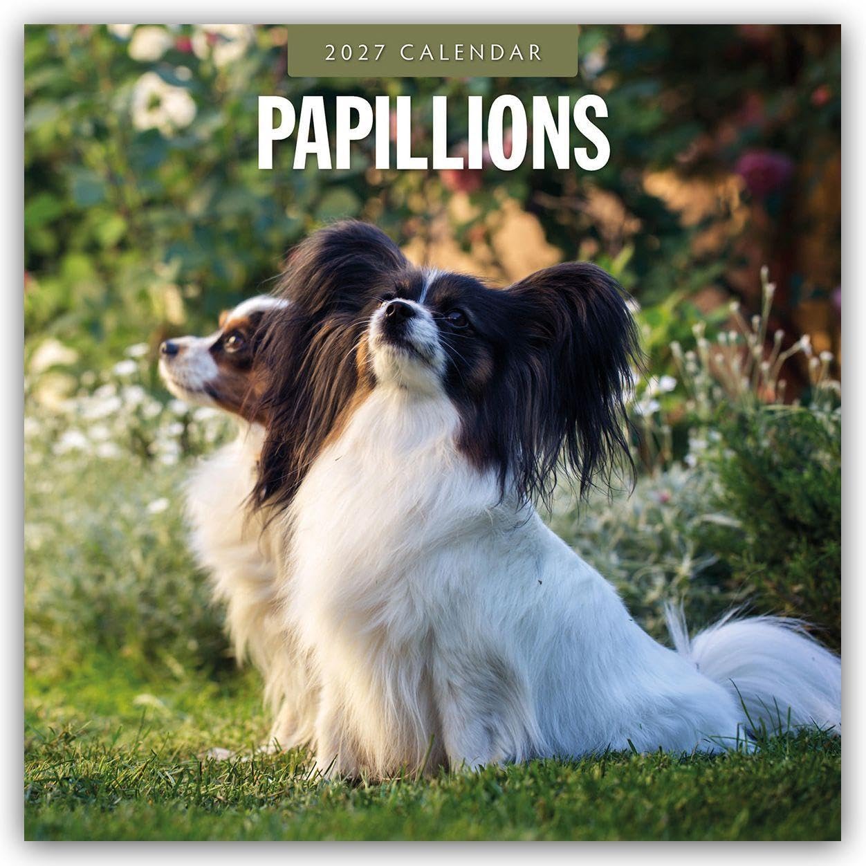 Papillions 2027 Square Wall Calendar: Original Red Robin Publishing Ltd-Kalender [Mehrsprachig] [Kalender]
