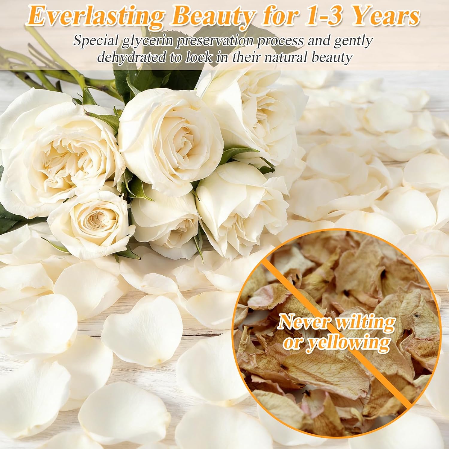 Real White Rose Petals 2.5oz (70g) - Natural Freeze Preserved Flower Petals, Portable Dried Rose Petals for Weddings, Romantic Decor, Table Centerpieces, Proposal, Bridal Shower & Party Confetti