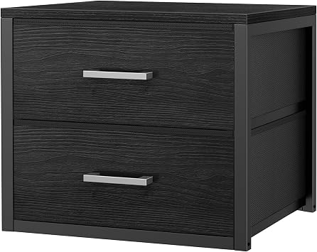 BOLUO Stackable Storage Drawer Closet Organizer Storage Fabric Black Two Drawer Dresser for Bedroom Modern
