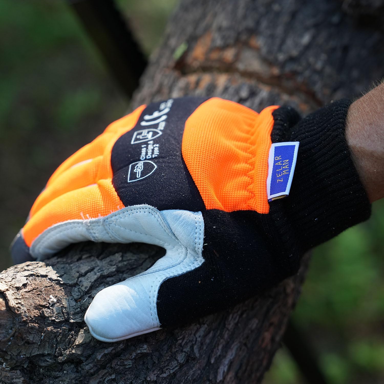 Chainsaw Chaps and Chainsaw Safety Gloves image 5