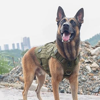 yasu　OneTigris CO Amazon.com : OneTigris Tactical Dog Harness Vest,No-Pull