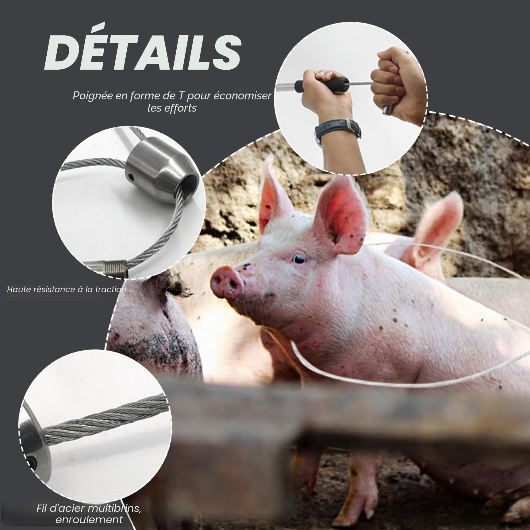 Pôle de Capture d'animaux 19 Pouces en Acier Inoxydable, Poteau de Chien avec Un Anneau réglable, contrôle des Animaux Robuste pour Les Compagnie Utilisation et Manipulation la séc