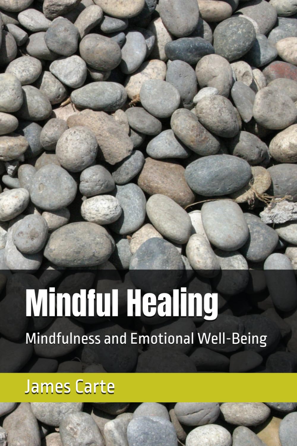 Mindful Healing: Mindfulness and Emotional Well-Being