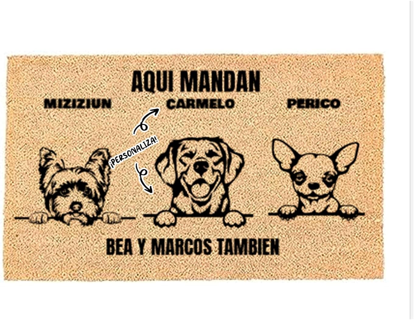 LucaHome - Felpudo Entrada casa - Felpudo Personalizado 3 Perro y Gato - felpudos Originales - felpudos Coco Personalizable 33x60cm - Felpudo Antideslizante