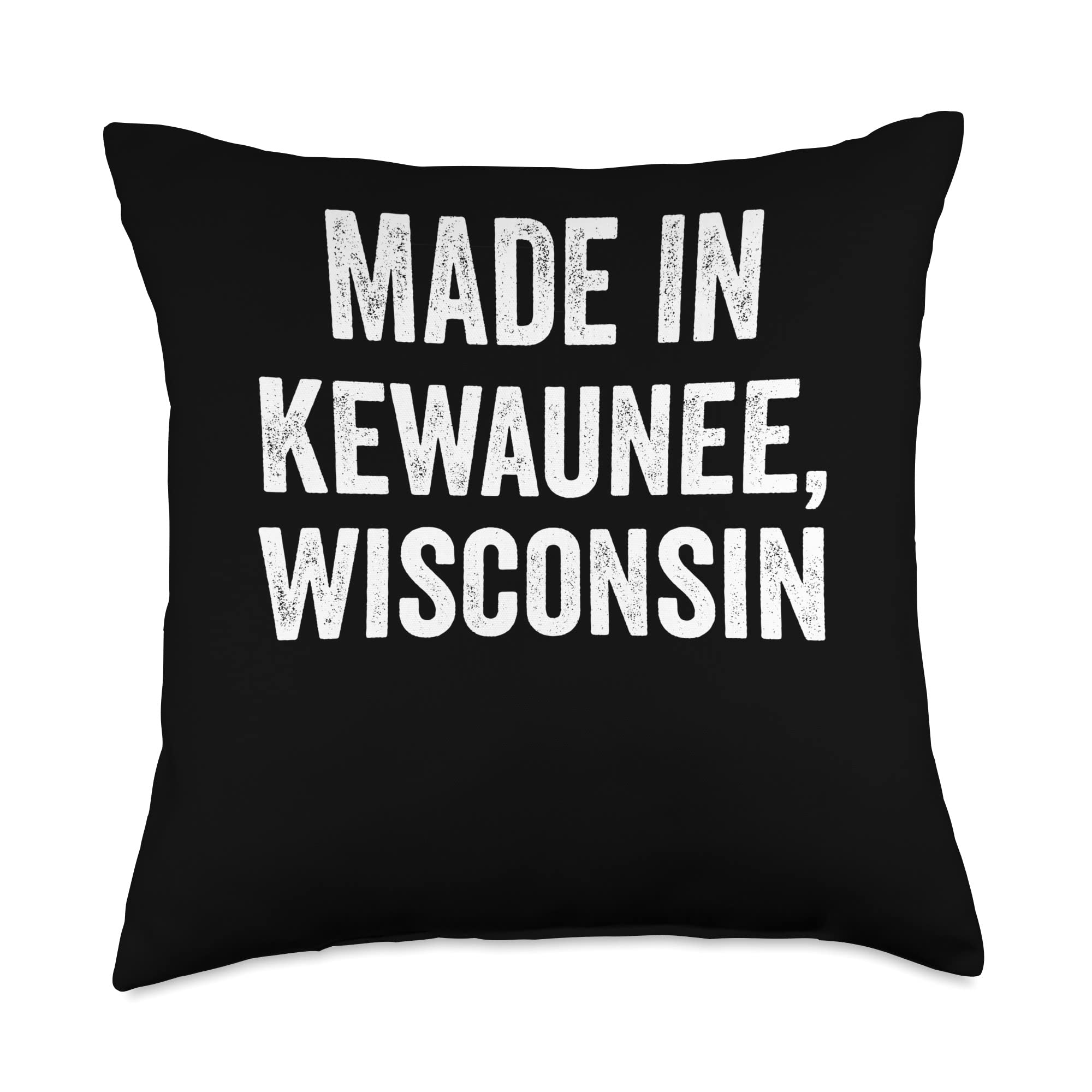 Made in Kewaunee Wisconsin Throw Pillow, 18x18, Multicolor