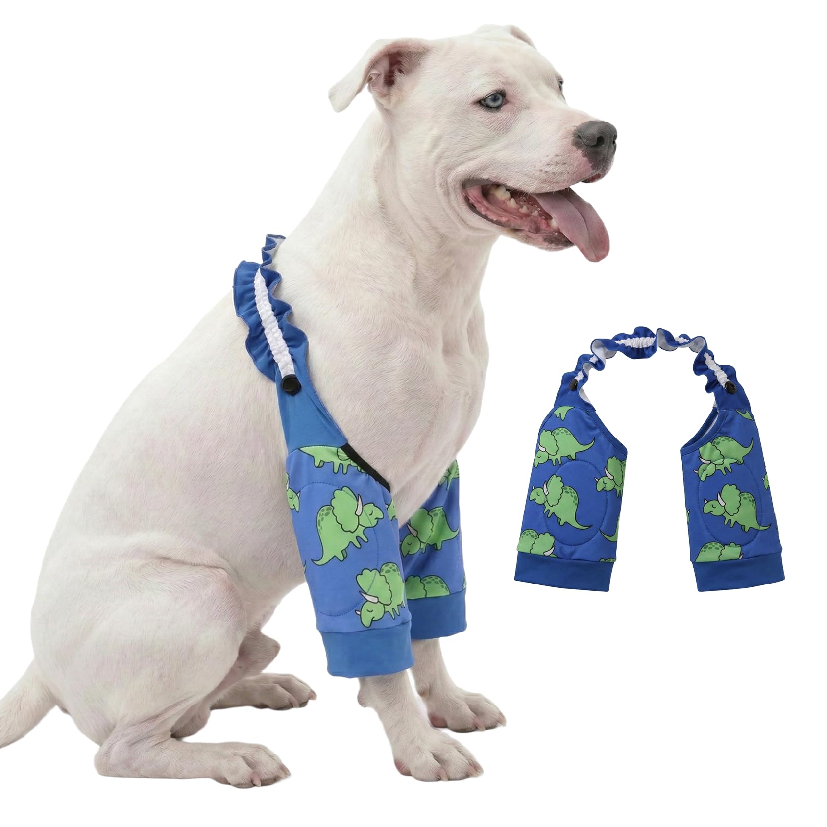 Manchons avant imprimé dinosaure vert bleu LovinPet 3XL