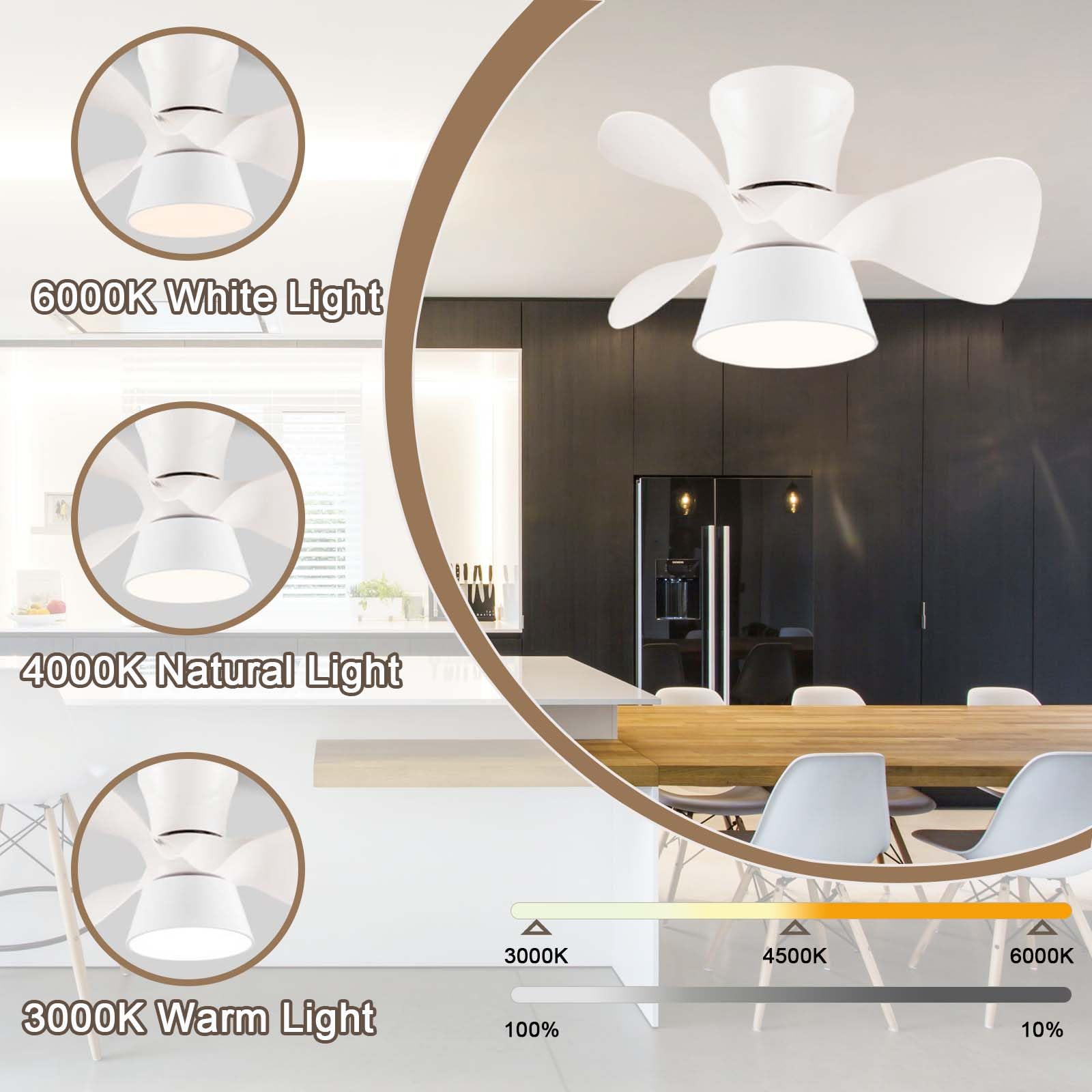 Ventilatore a soffitto con luce & Lampadario ventilatore