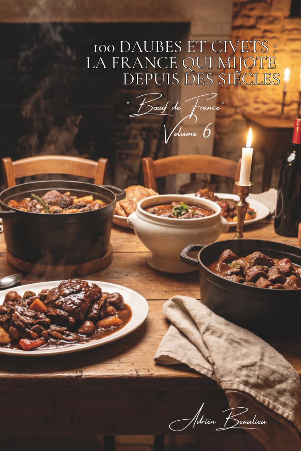 100 daubes et civets : la France qui mijote depuis des siècles: Provence, Auvergne, Périgord... les viandes longues qui parfument la maison (SÉRIE ... - Sous-série "Bœuf de France" (9 livres))