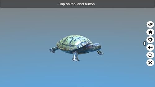 Diversity in Living: Reptilia