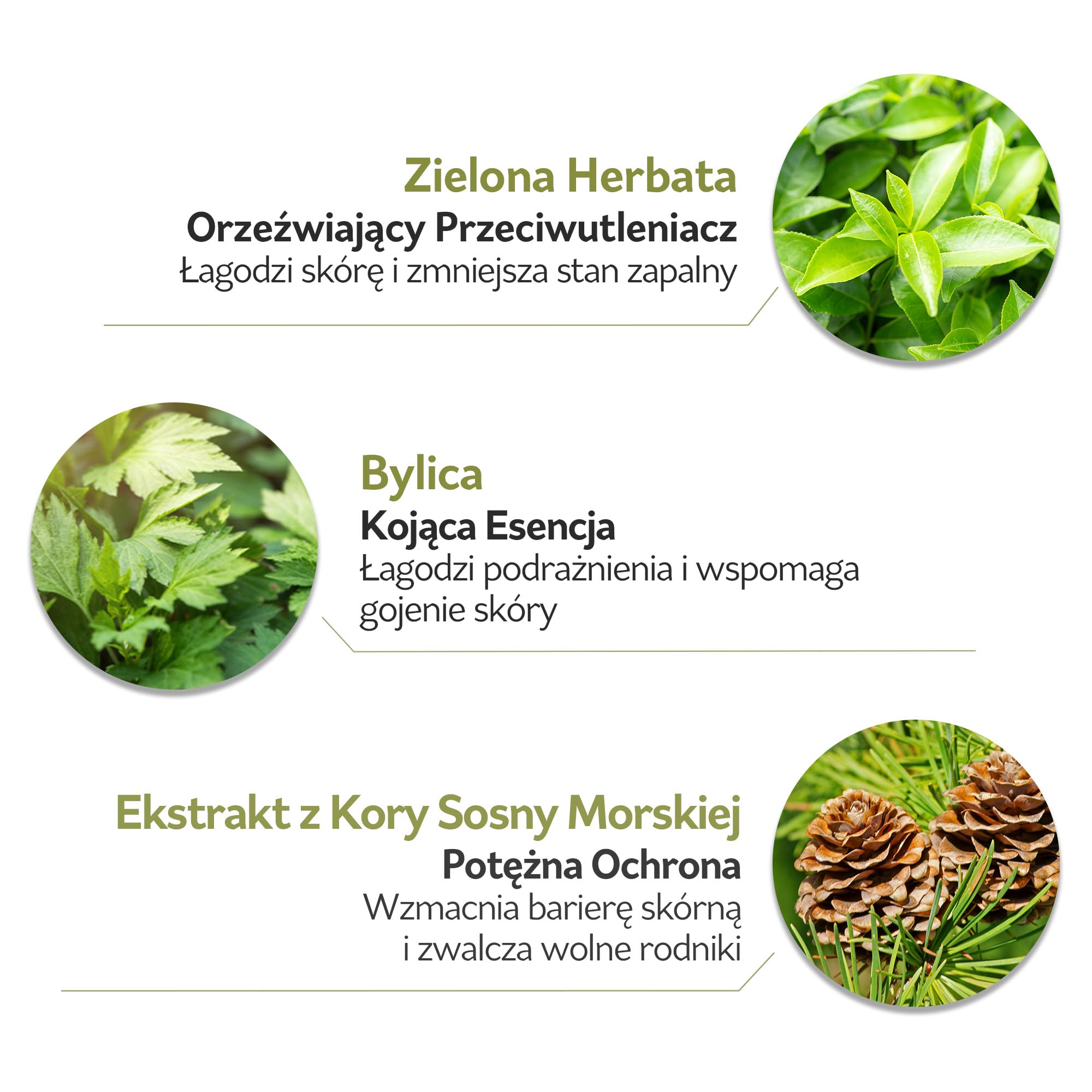 PESTLO Spicule Re-Born Peeling Mask – Maska Peelingująca do Twarzy z Spikulami Morskimi, Zielona Glinka & Zielona Herbata, Koreańskie Wygładzanie Skóry & Pory, Blask, Bezzapachowe | 120 g