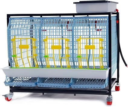 Hatching Time Chicken Cage - 1 Layer H 22" Power-Washable, Durable, ABS Plastic | Cimuka