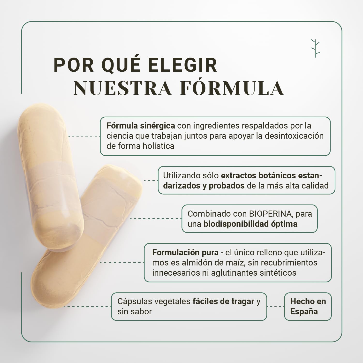 Nullure Natural Detox Depurativo Hígado y Colon | Limpieza Intestinos + Digestión | Vegano | Cardo Mariano + Probióticos + Diente de León + Açaí + Cúrcuma + Selenio | 120 cápsulas (2 meses)