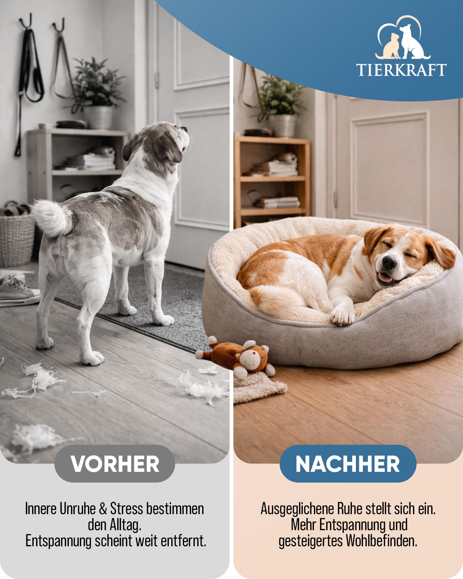 Tierkraft Beruhigungstabletten für Hunde, 100 Stück, Made in Germany | Silvester, Gewitter, Autofahrt & Tierarzt · mit Baldrian, Johanniskraut, Hefe, natürliche Kräuter hohe Akzeptanz