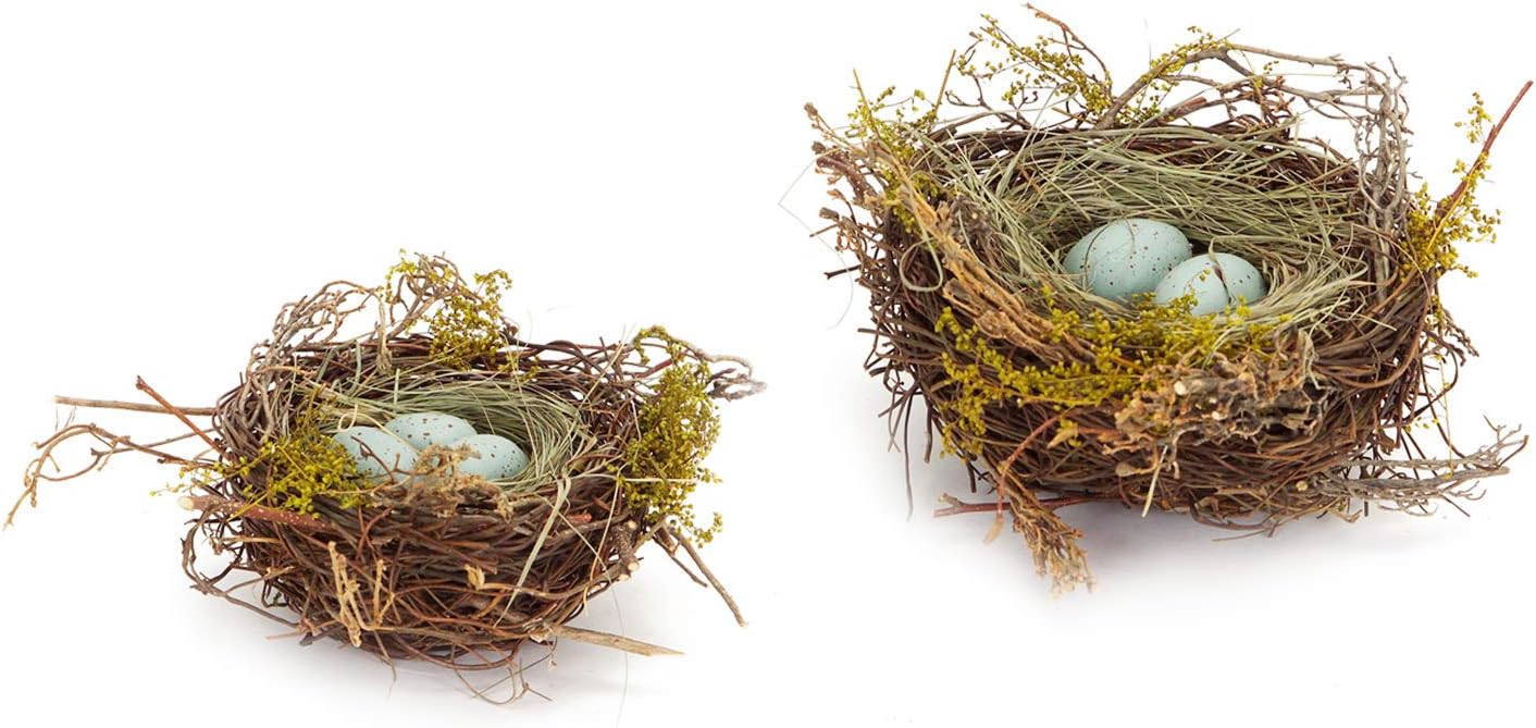The Bridge Collection Faux Decorative Bird's Egg Nest - Cute Bird Nest with Eggs Tabletop Decoration for Spring, Summer, Everyday Home Decor (Robin's Eggs - Set of 2)
