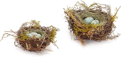 The Bridge Collection Faux Decorative Bird's Nest (Robin's Eggs -