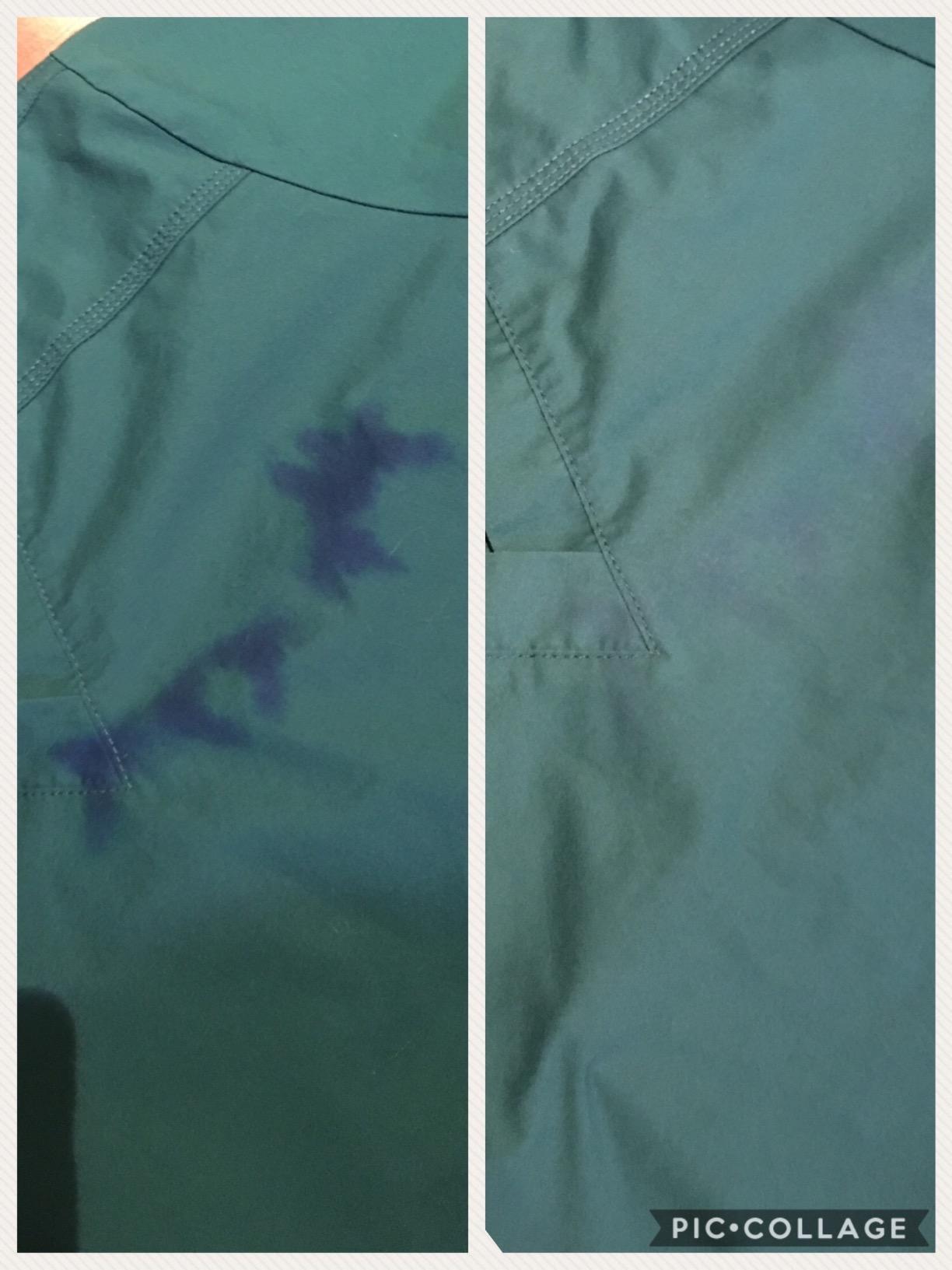 Gonzo Natural Magic Stain Remover NonToxic Carpet