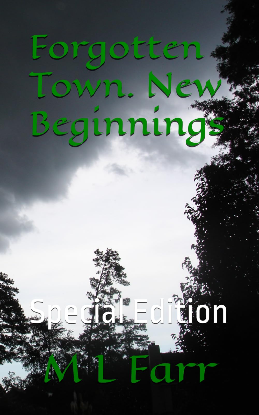 Forgotten Town. New Beginnings: Special Edition: 5 (FORGOTTEN TOWN ; SPECIAL EDITIONS)