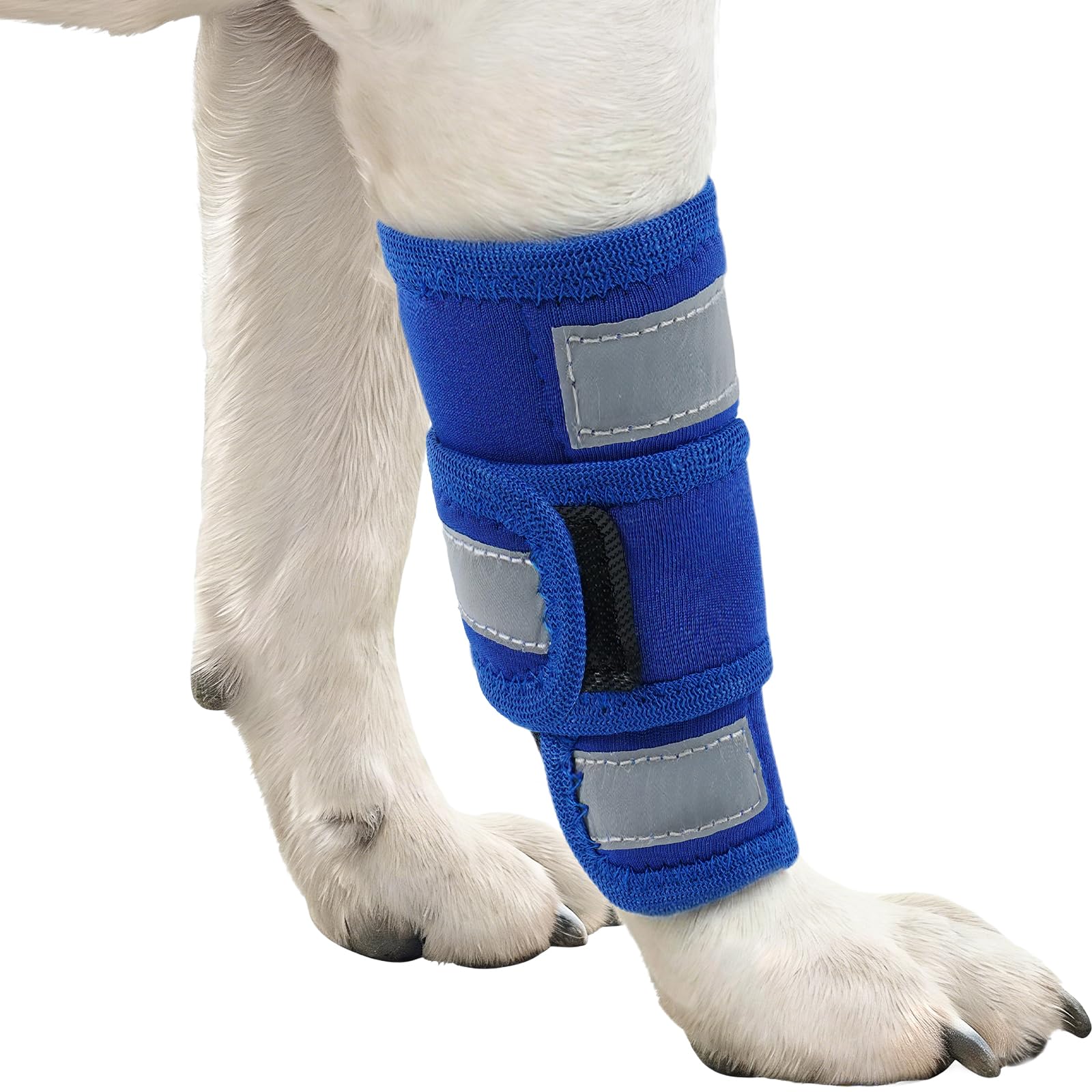 Photo 1 of Kuoser Dog Front Leg Brace & Elbow Protector,Adjustable Dog Elbow Brace with Reflective Strip,Compression Dogs Leg Sleeve to Stop Licking,Carpal Wrist Support Wrap for Arthritis,Sprain,Injury Recovery