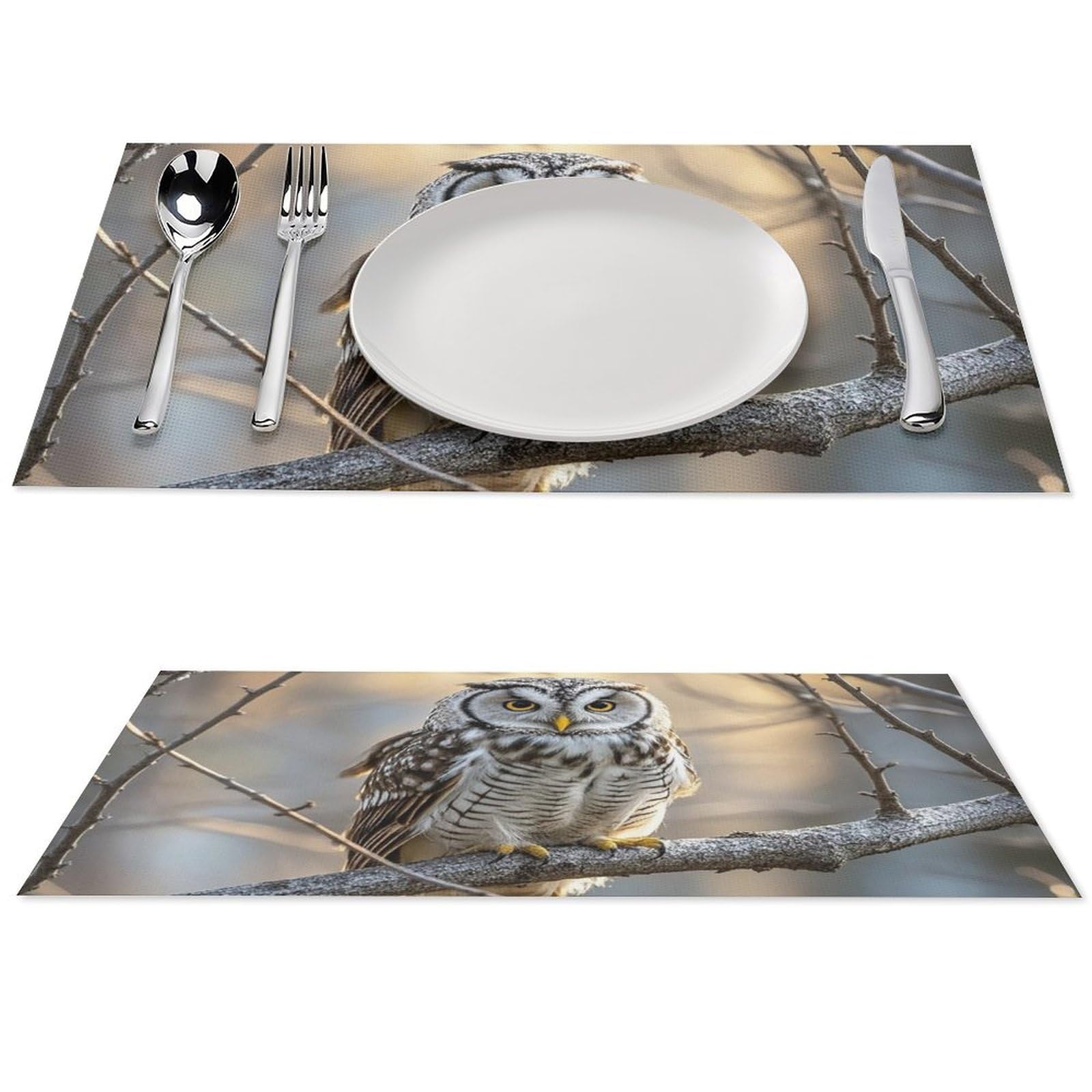 Set de table hibou sur une branche lot de 6 résistant à la chaleur en PVC de restaurant