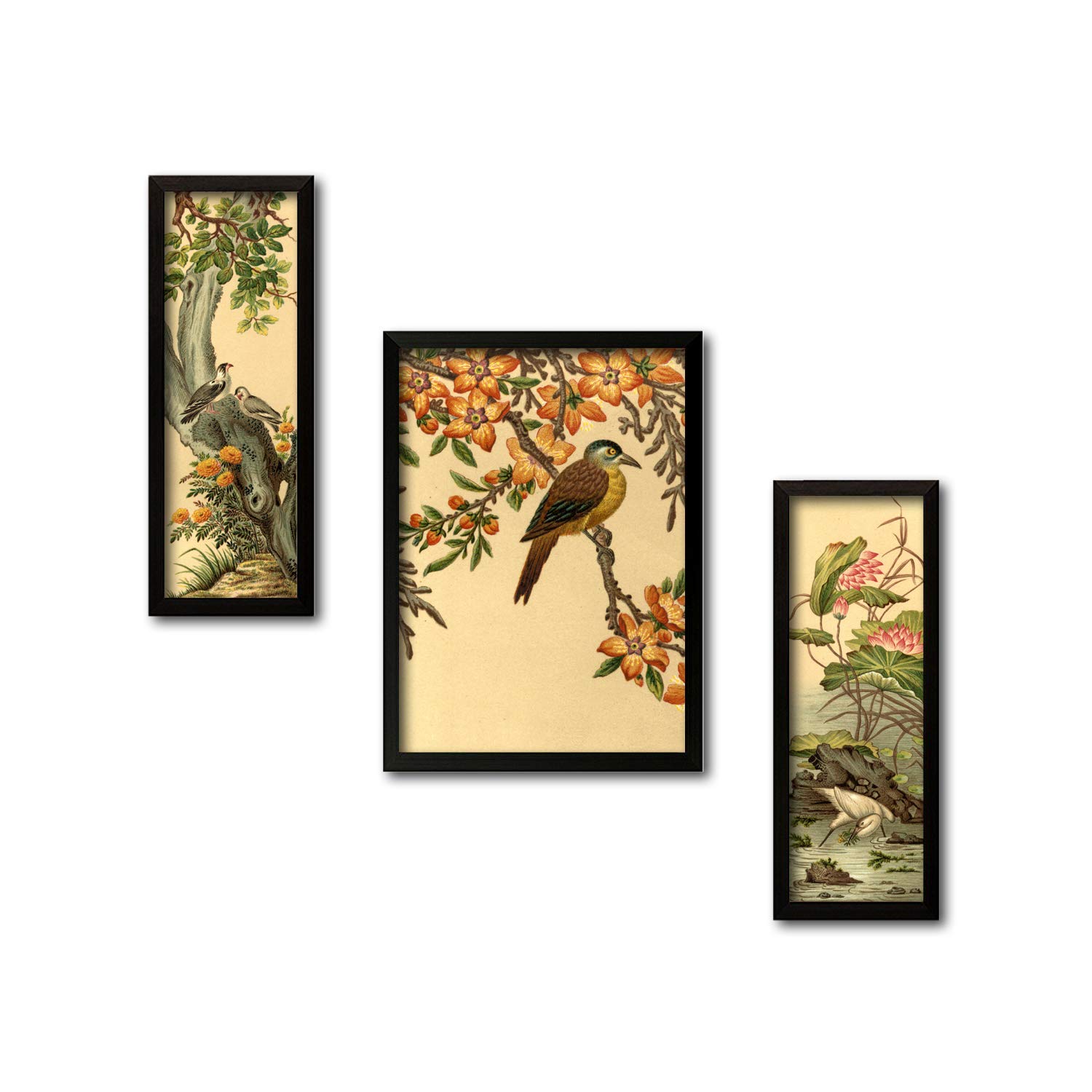 LADECOR Botanical Hanging Wall Art Painting with Frames Set of 3 (Multicolour, 35 cm x 52 cm)