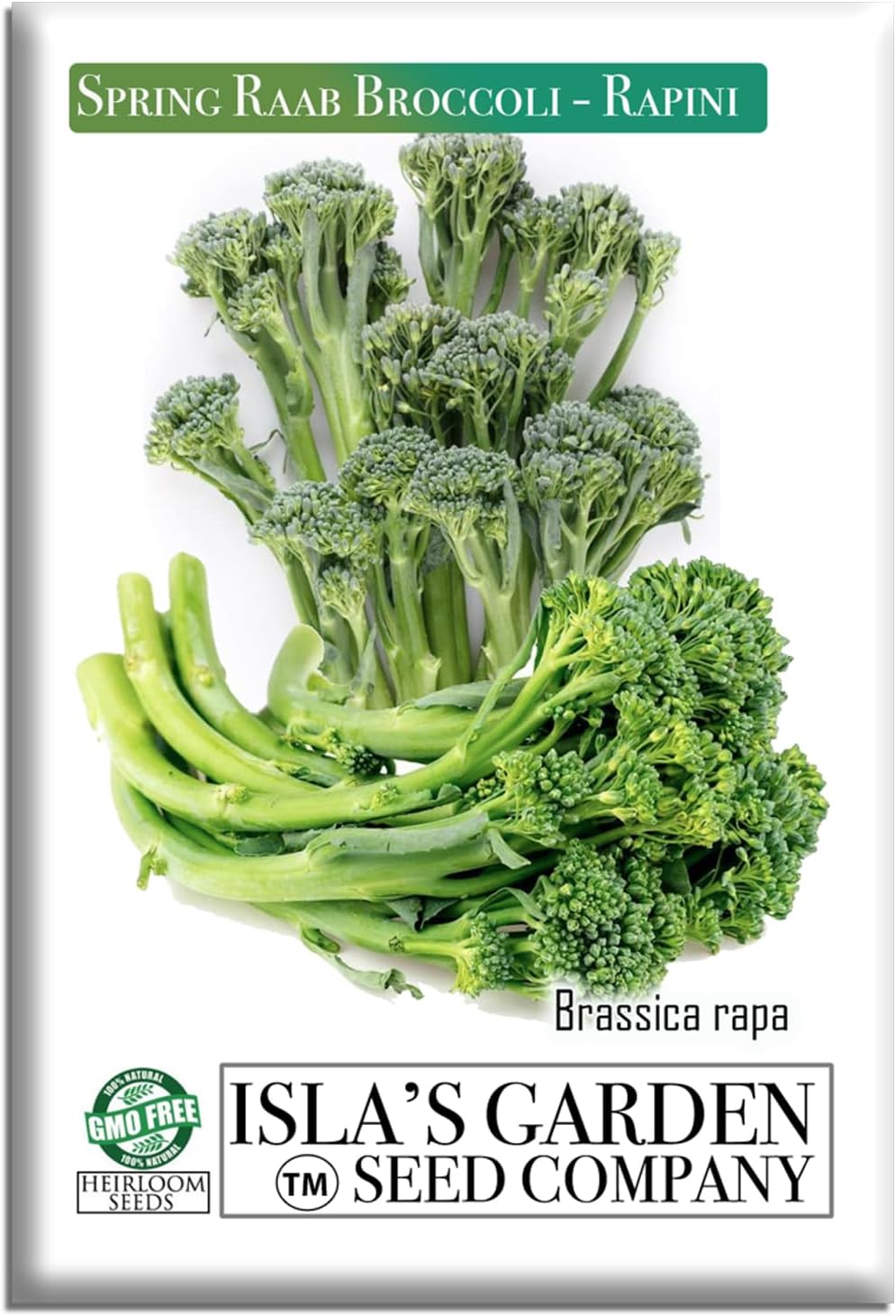 Spring Raab Broccoli Seeds (aka Rabe, Rapini, Broccolini) – 300+ Non-GMO & Heirloom Seeds, Brassica oleracea, Fast-Maturing Cool Season Green, by Isla’s Garden Seeds, Gift Idea for Home Gardens