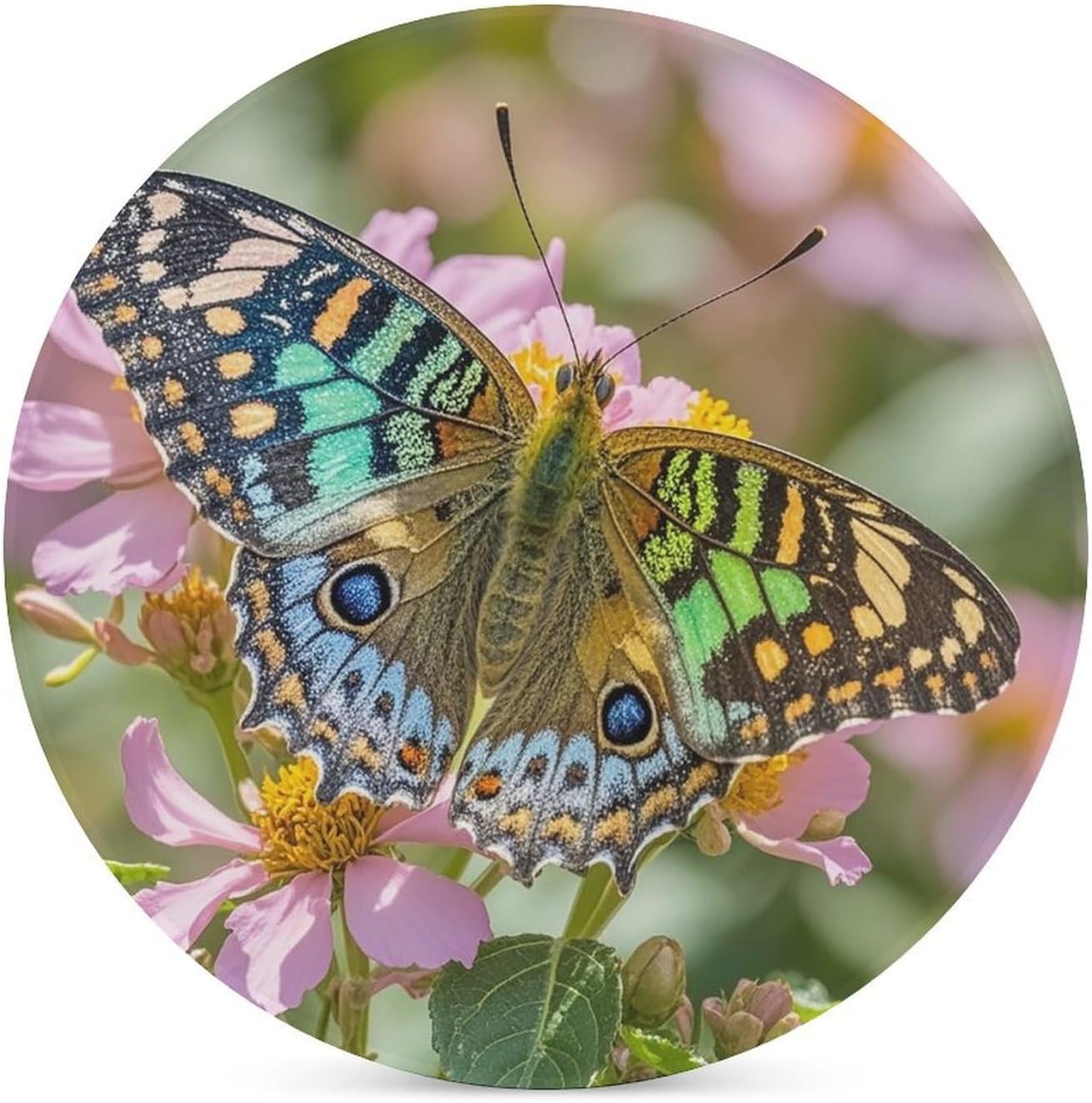 Butterfly Coaster with Cork Base Drink Coasters for Coffee Table Decor Modern Cup Coasters with Non-Slip & Heat-Resistant Cute Ceramic Table Coaster for Home Dining