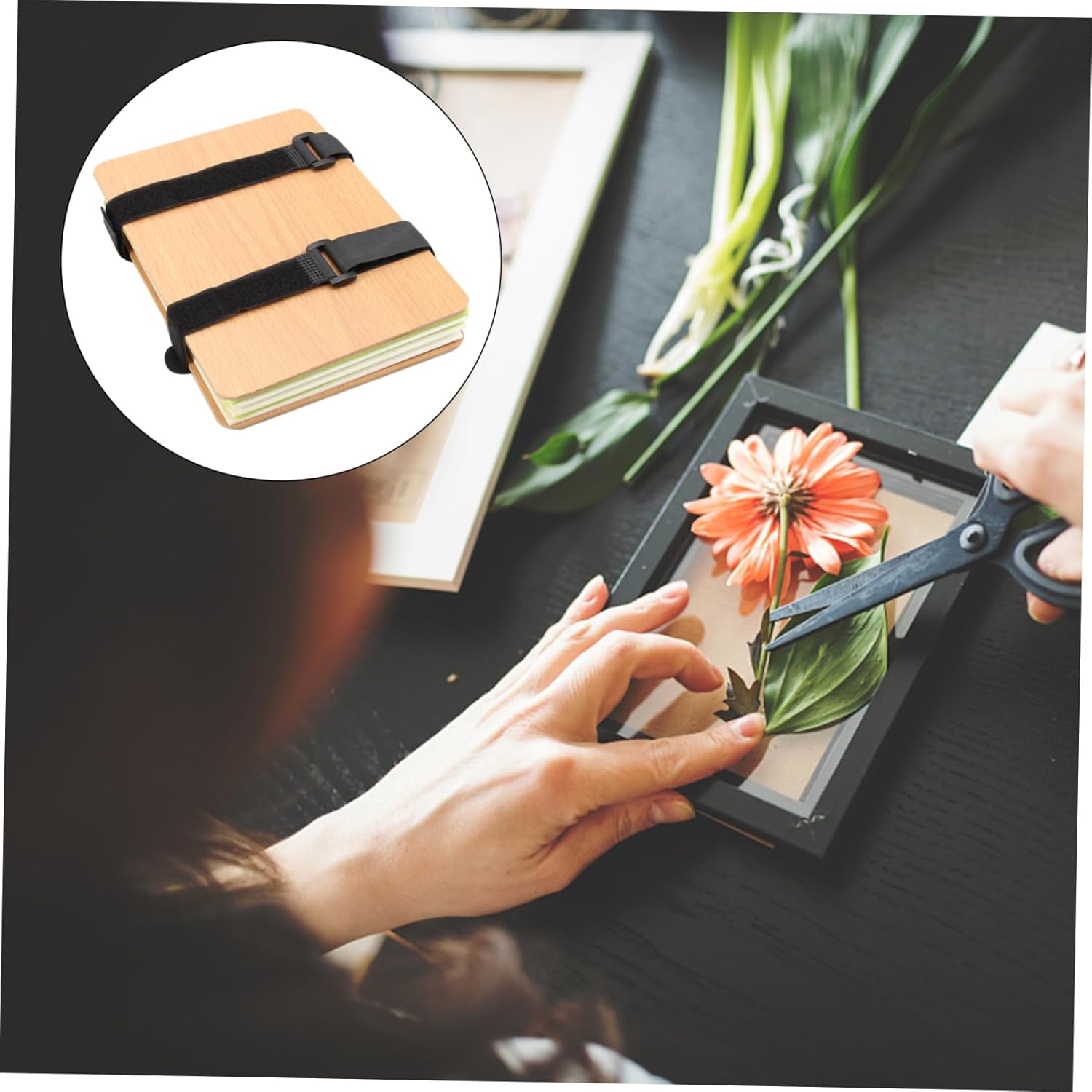 ULDIGI Flower Pressing Plant Leaf Press Plant Press Kit for Adults Flower Specimen Tools Kit