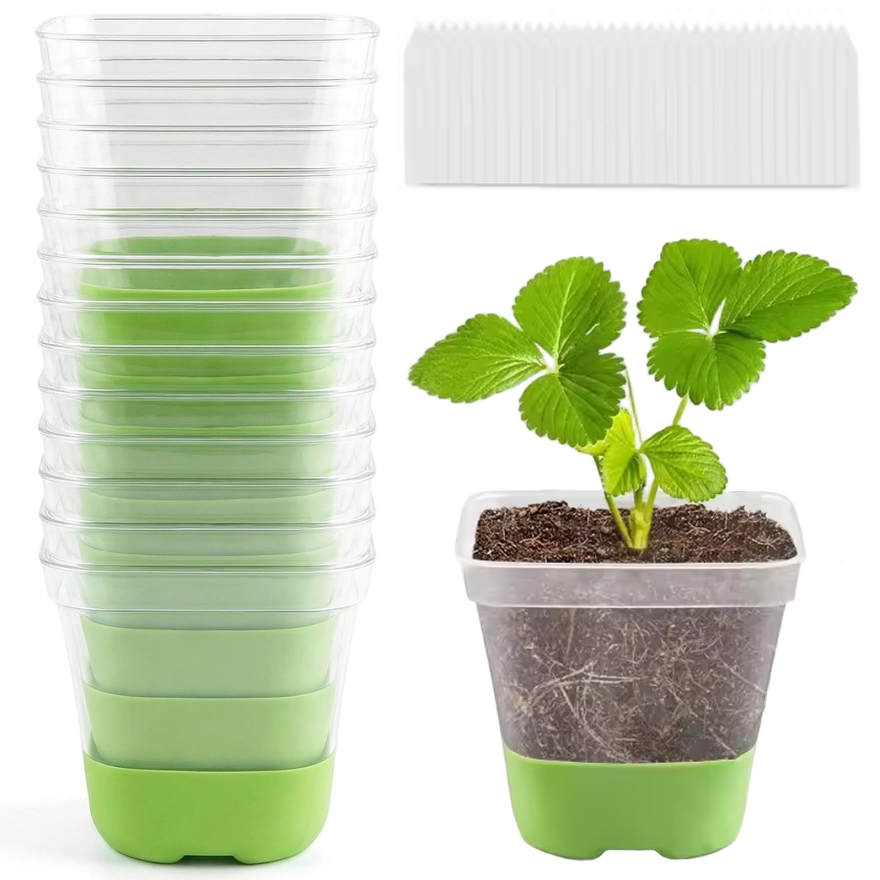 CAKEEYUM 12 Packs Seed Starter Pots with Flexible Silicone Base Clear Nursery Pots with Drainage for Easy Transplant Reusable Plant Starter Pot for Indoor Gardening Seed, Plant
