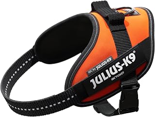 Julius-K9, Arnés IDC Power, Tamaño: S / Mini, Naranja UV